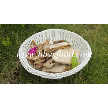 Sauvage Source Champignons Produit Sé CHé Type Boletus Tranche